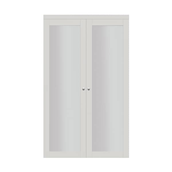 Renin 36 in. x 80 1/2 in. Euro 1-Lite Design Pivot Door PV5401BWFGC036080 - main